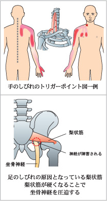 筋肉の奥までしっかりゆるめる