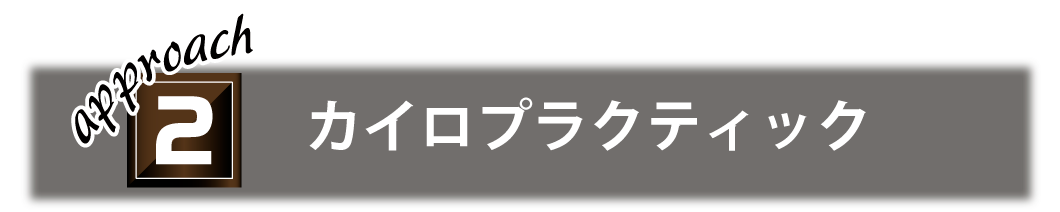 カイロプラクティック / 関節へのアプローチ