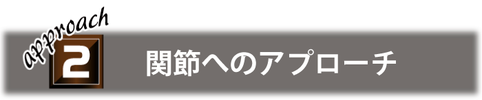 関節へのアプローチ