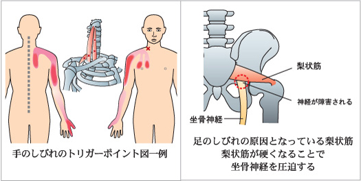 筋肉の奥までしっかりゆるめる