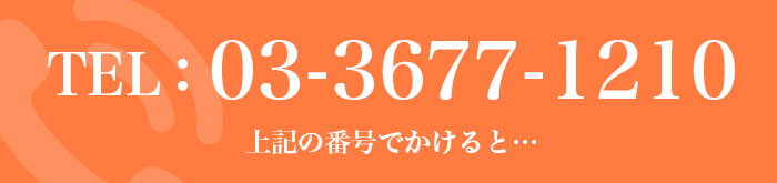 TEl:03-3677-1210 上記の番号でかけると…