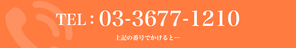 TEl:03-3677-1210 上記の番号でかけると…